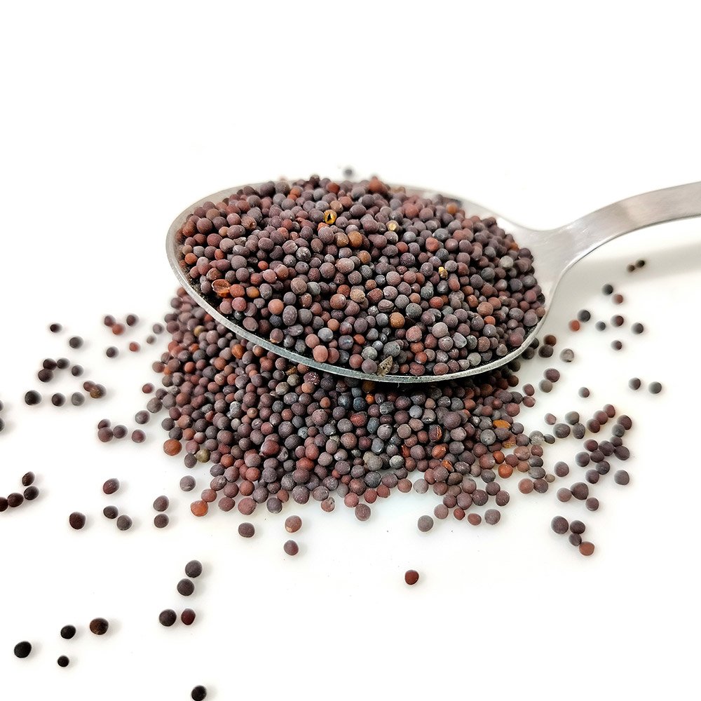 mustard seeds (rai)