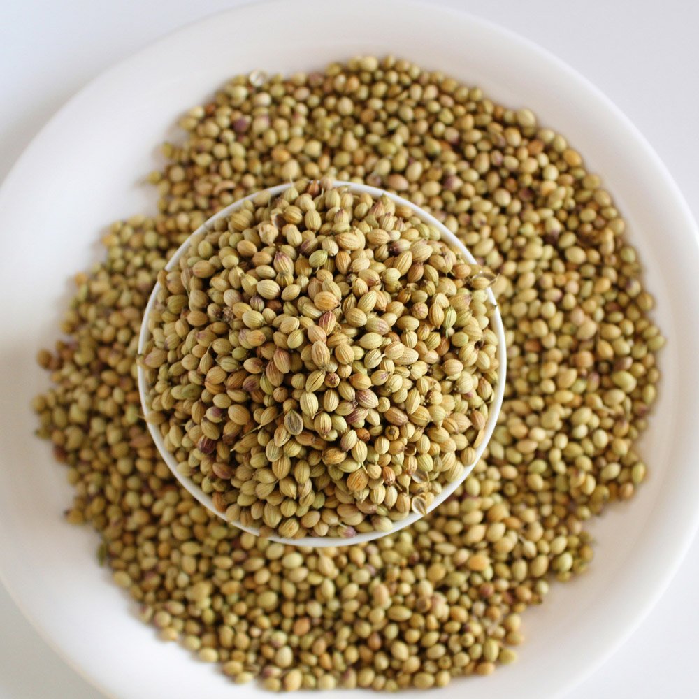 coriander seeds (dhaniya)