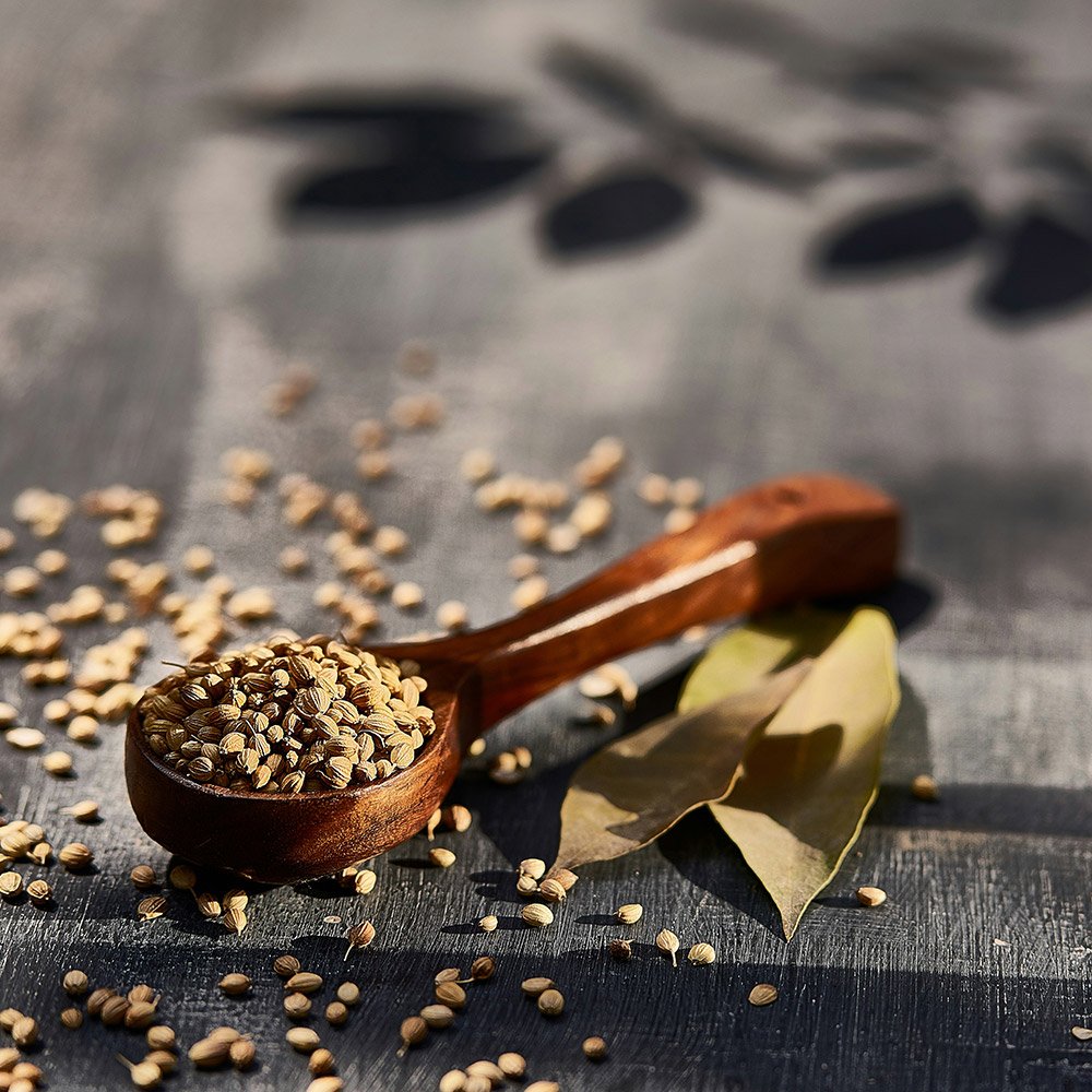 coriander seeds (dhaniya)